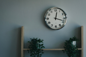 clock on wall plants on shelf